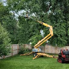 Best Lawn Irrigation Installation and Maintenance  in Chewelah, WA