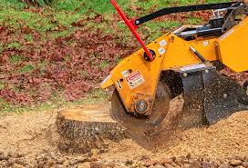 Best Lawn Watering Services  in Chewelah, WA
