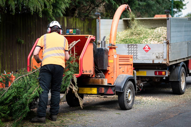 Best Lawn Grading and Leveling  in Chewelah, WA